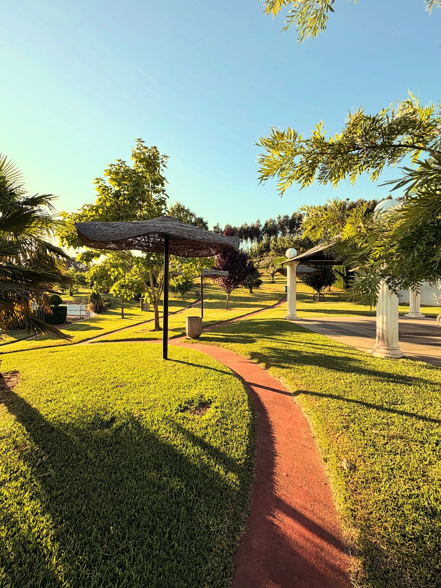 529943601_17865072501440182_5626003988272489937_n