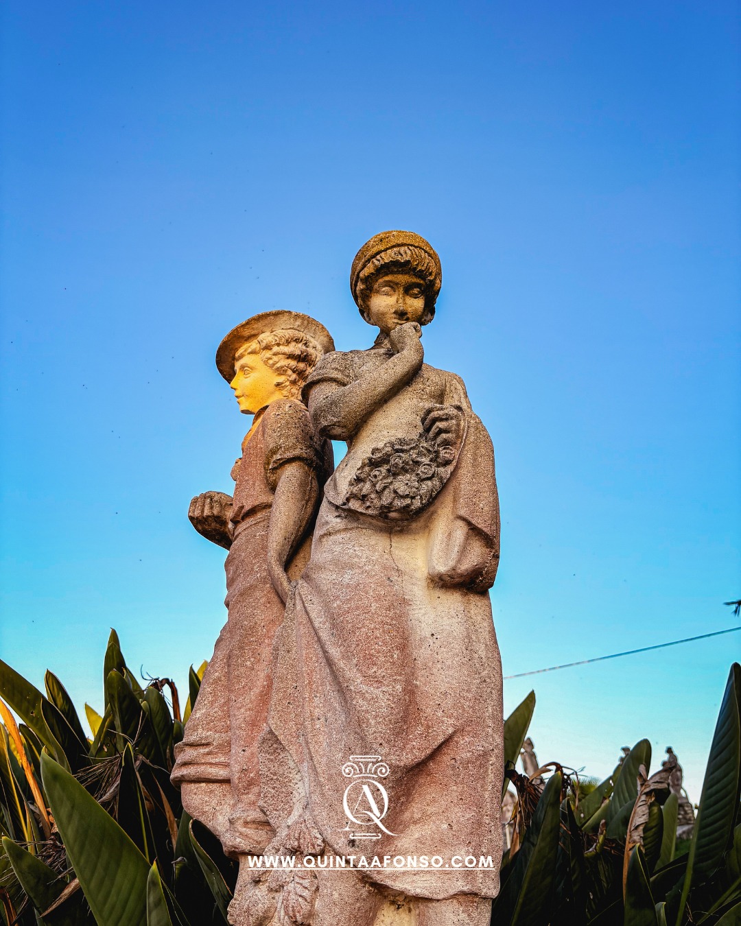 562362061_122152068656830940_7849520308700367292_n